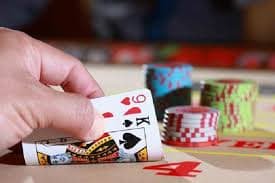 ludo tiger